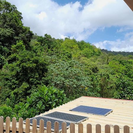 Villa La Poulette Amazonienne Rivière-Pilote Exterior foto
