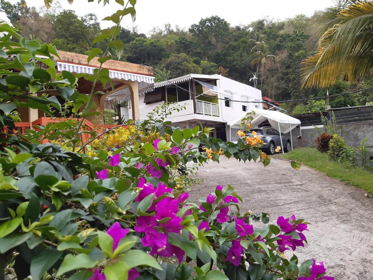 Villa La Poulette Amazonienne Rivière-Pilote Exterior foto
