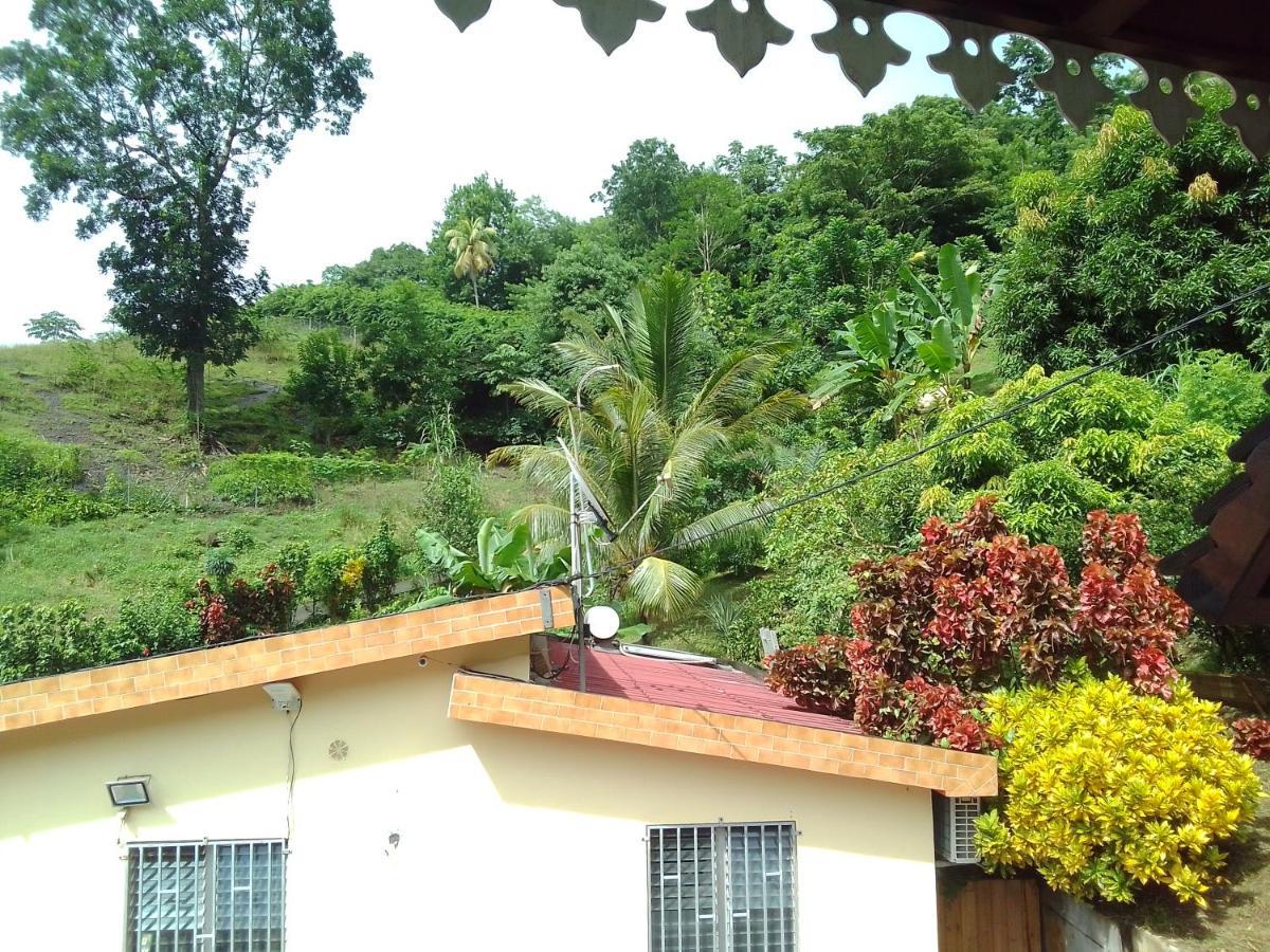 Villa La Poulette Amazonienne Rivière-Pilote Exterior foto