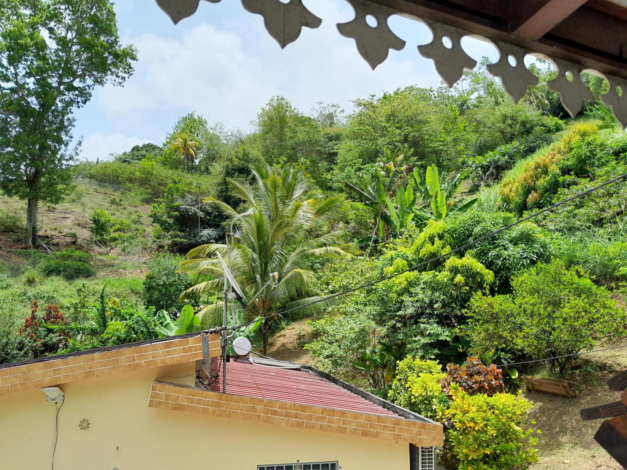Villa La Poulette Amazonienne Rivière-Pilote Exterior foto